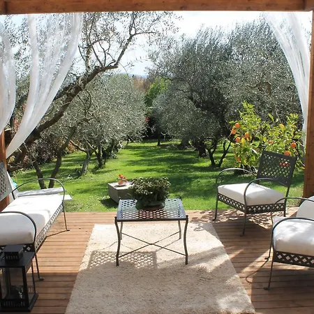 Bed & Breakfast Isola Degli Ulivi *
