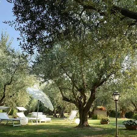 Isola Degli Ulivi * Rimini