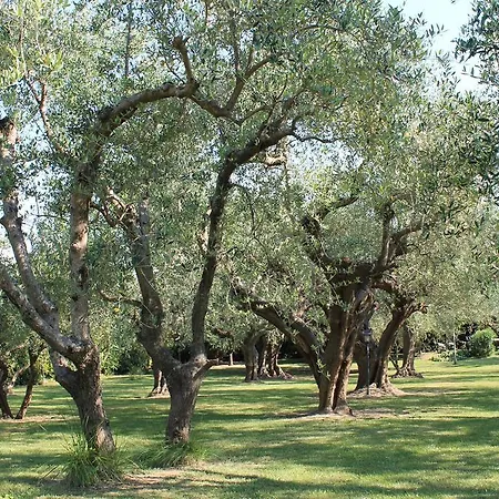 Frühstückspension Isola Degli Ulivi